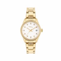 Orologio Breil Tribe Donna Classic Elegance in Acciaio placcato oro giallo EW0707